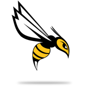 Logo de BeesNess Card